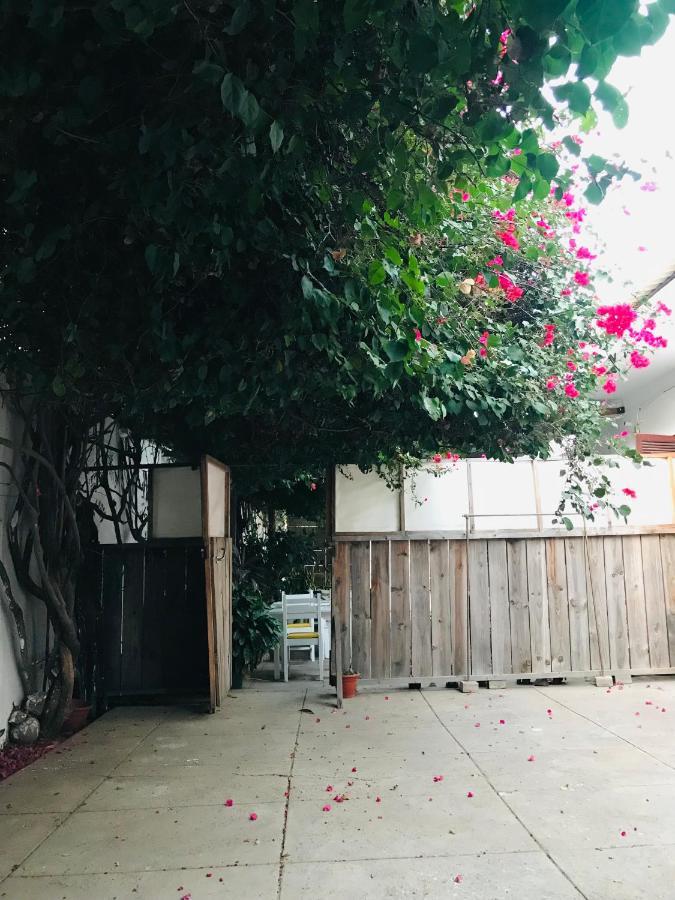 Syds Beach House 프라이아 외부 사진